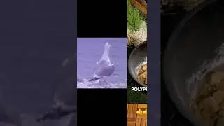 🔥Химия⚗️ 
