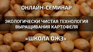 Не сажайте картофель, пока не посмотрите эту трансляцию! Школа ОЖЗ