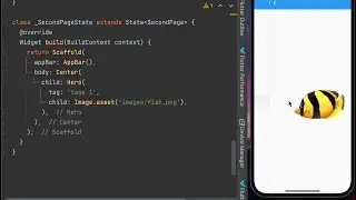 Hero Widget in flutter