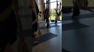 Йога в гамаках студия "Mudra Yoga Kiyv"