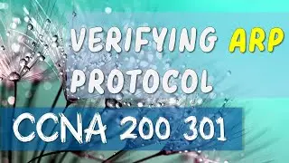 Verifying ARP protocol
