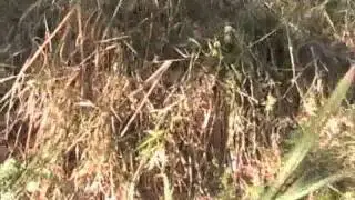 Litter pick-up in the Valley of the Pyramids - Visoko, Bosnia - Part 3 of 6