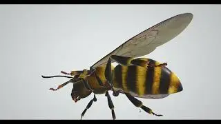 bee