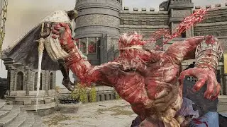 Hoarah Loux Vs New NPC - Elden Ring Shadow of the Erdtree