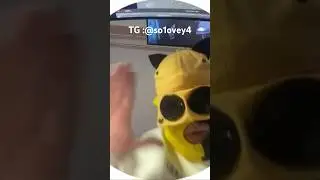 Как я начинаю свои стримы 