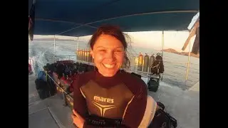 Artquatic Baja California Day 1