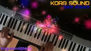 italo disco3 - KORG PA900