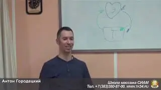 А. Городецкий - Основы ТОП (Презентация) 5 июня 2019