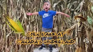Corn Maze at Canada's Wonderland