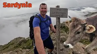 Najwyższy szczyt Sardynii, La Marmora