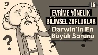 Darwin'in En Büyük Sorunu (Türkçe Altyazılı)