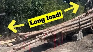 Hauling some looong logs