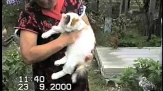 Ржевский Валерий, Марьины Колодцы 2000-09-23