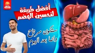المعدة هي بيت الداء والدواء وتحسين الهضم هو أساس صحتك فإليك  ١٤ وصفة تجعل هضمك أفضل
