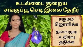 உடல்எடை வேகமா குறைய/ முகப்பரு மறைய சங்குபூ இலை டீ Sangupoo leaf tea benefits in tamil / Dr.Mythili