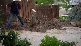 Planting To Fit Your Space