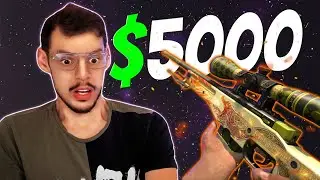 Hunting the AWP Dlore (Dragon Lore) On Skin Club