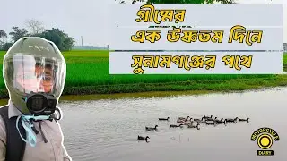 A Midsummer Day's Ride from Sylhet to Sunamganj | স্বপ্ন যাবে বাড়ি আমার । ছুটিতে ঘরে ফেরা