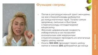 Подготовка мужчин к зачатию.