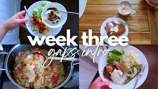 What I Eat in a Week on the GAPS INTRO DIET | stages 4 & 5 (gut healing protocol)