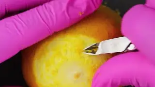 Aprender cutilagem na laranja - Aulas de cuticula perfeita