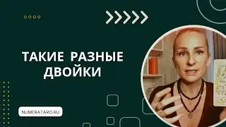 Такие разные двойки. Число Души 2. День рождения 2, 20, 11, 29