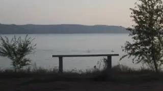 Дворянство