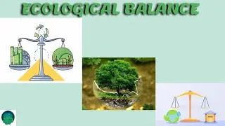 Ecological Balance
