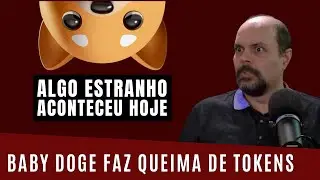 BABY DOGE FAZ QUEIMA E ALGO ESTRANHO É REVELADO