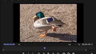 How to preserve color from Photoshop to Premiere Pro CC: Importing images into video