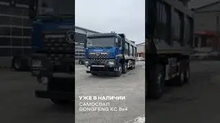 20 ноября 2023 г.