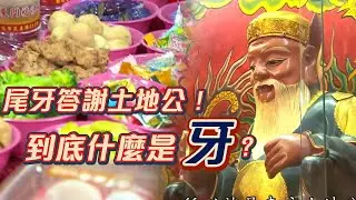 龍年最後一『牙』！別忘了感謝土地公伯！｜寶島神很大online