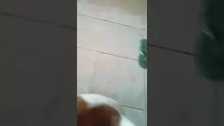 ANG BILIS PAG SINABI KAKAIN NA 😂😂😂