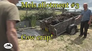 Mels allotment makeover #3 oh crap