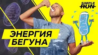 Электростанции 🏭 нашего тела - митохондрии🔬