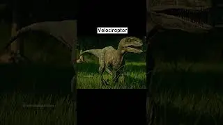Animais extintos capturados por câmeras Part:5🤯📸