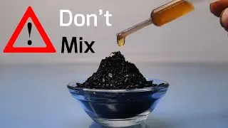 5 New Science Experiment | Simple Science Experiments For School
