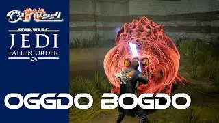 Star Wars Jedi fallen Order - OGGDO BOGDO - Ogdo Bogdo