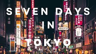 Escape to Tokyo: Your Ultimate 7-Day Itinerary 2024🇯🇵