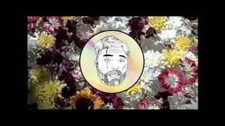 Roses - 