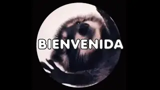 Original video de entrada para fiesta de 15 años! Ada 2024