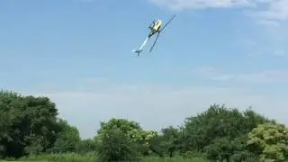3 Bladed Goblin Beats The Air Into Submission 3D Heli