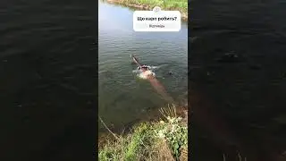 Боронява - село в Хустській міській громаді Хустського району Закарпатської області Україні