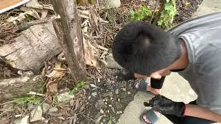 FF Ep2: Planting Greenbeans