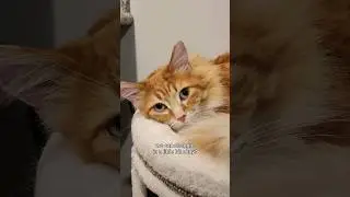The wizard always gets what he wants 😅🧡 