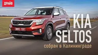 Kia Seltos 2020 ― тест-драйв с Никитой Гудковым