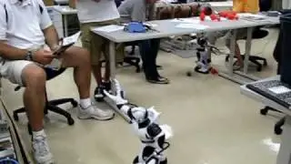 Summer Robotics Institute 2009