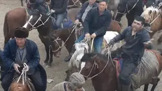 VASXOD YANGI QISHLOQDA KO'PKARI 4-QISM