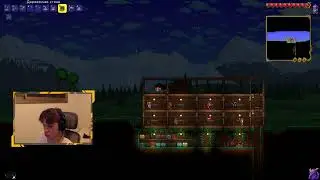 🔴 играем в terraria всё с нуля (сохронений нет)
