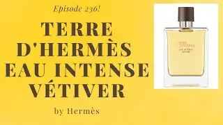 Terre d'Hermès Eau Intense Vétiver by Hermès - Episode 236